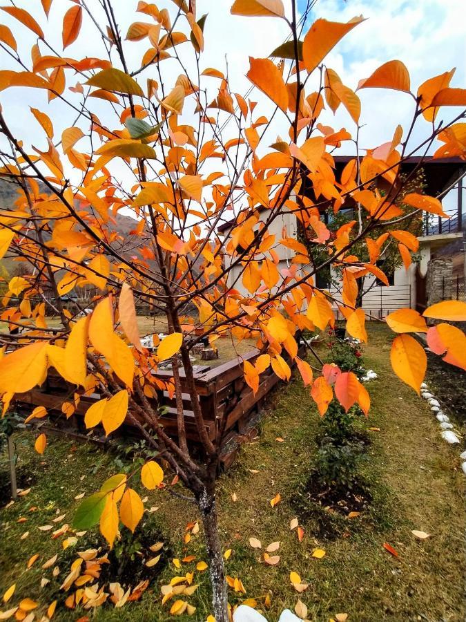 ---Allegria House--- Kazbegi Eksteriør bilde