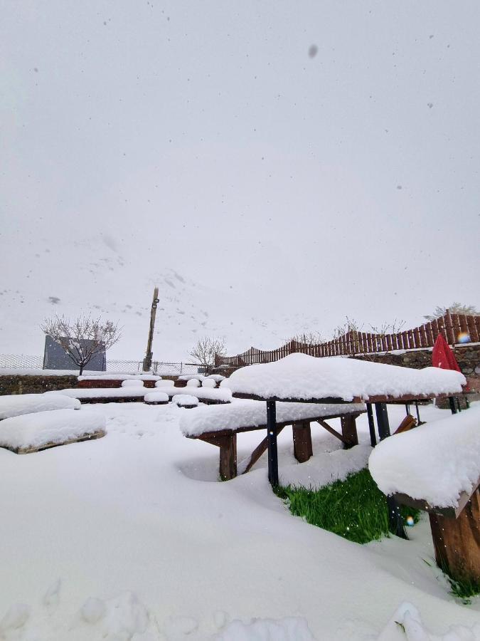 ---Allegria House--- Kazbegi Eksteriør bilde