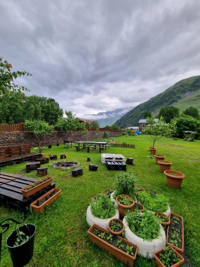 ---Allegria House--- Kazbegi Eksteriør bilde