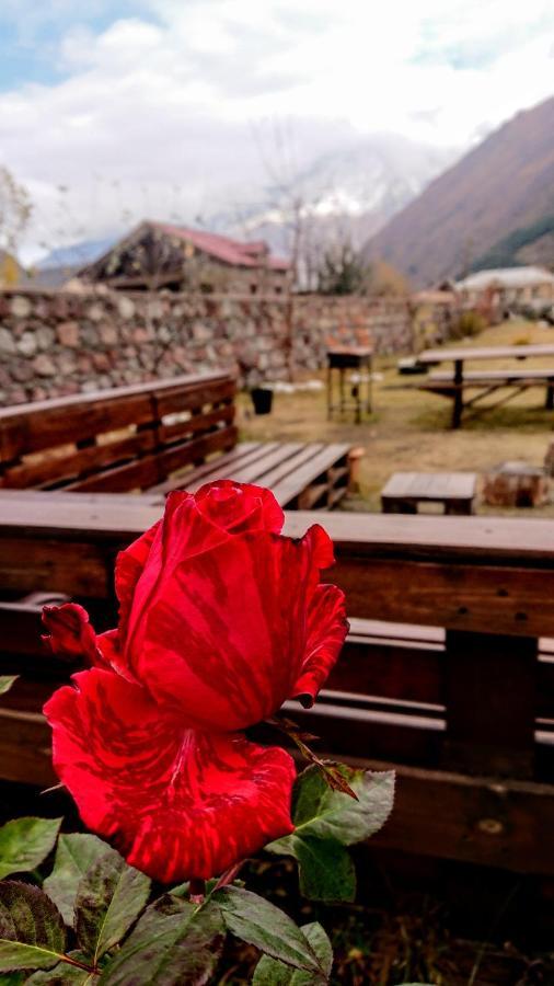 ---Allegria House--- Kazbegi Eksteriør bilde