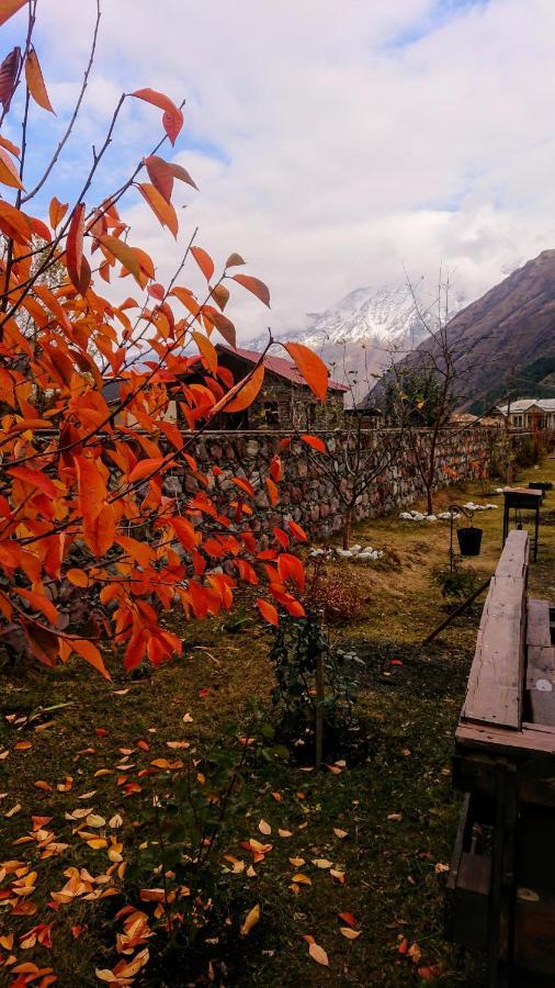 ---Allegria House--- Kazbegi Eksteriør bilde