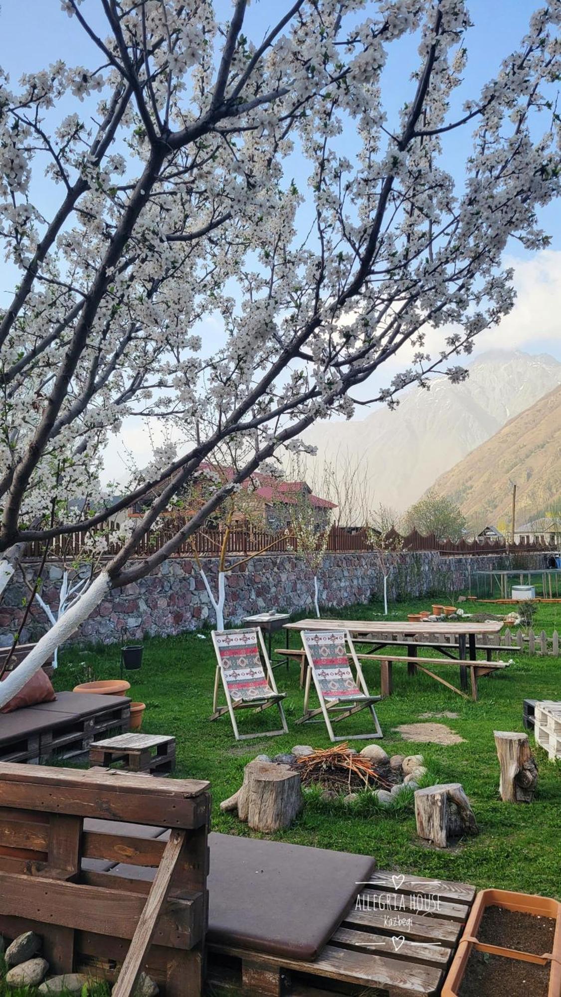 ---Allegria House--- Kazbegi Eksteriør bilde
